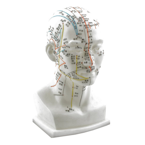 Akupunkturní model hlavy