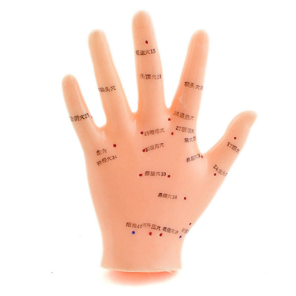Akupunkturní model ruky