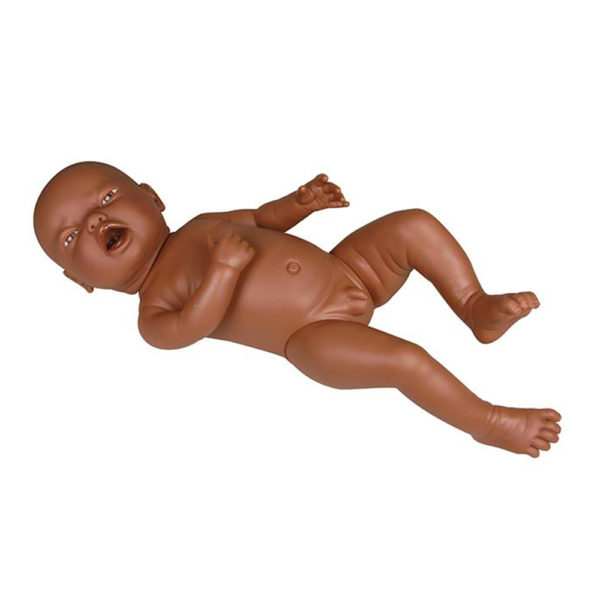 Model novorozence