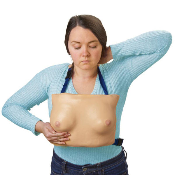 Model prsou