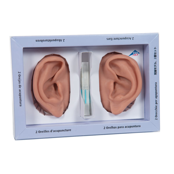 Akupunkturní sada modelů uší