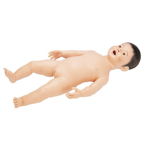Model kojence