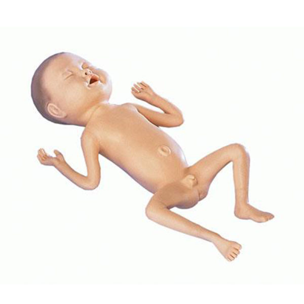 Model předčasně narozeného dítěte